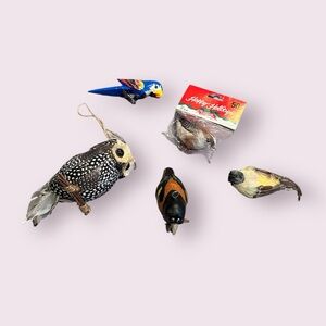 Assorted Bird Ornament Miscellaneous Set Of 5 - Parrot, Owl, Oriole